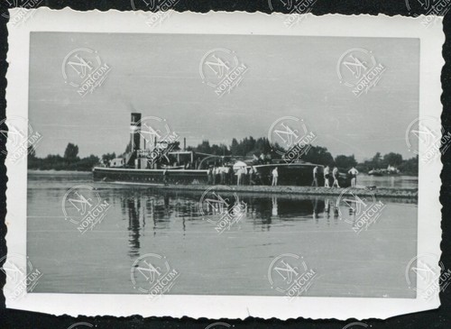 Foto głogów glogau - 2x,