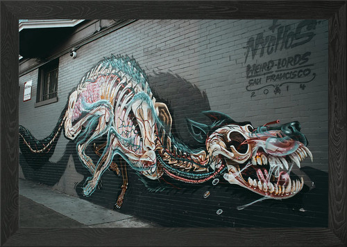 Anatomischer hund graffiti - anatomischer,