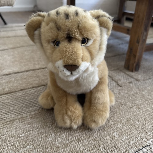 Löwen baby von - baby,