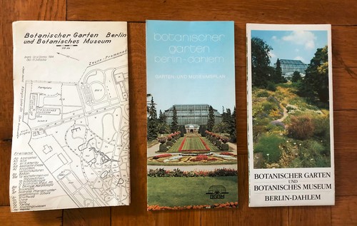 Botanischer garten und museum - garten,