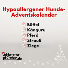 Dein Hypoallergener