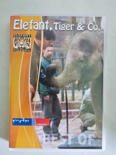 Elefant tiger best of - elefant,