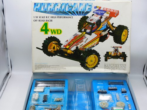Blue bird hurricane - bird,