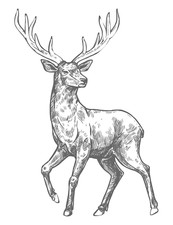 9X Autoaufkleber Sticker