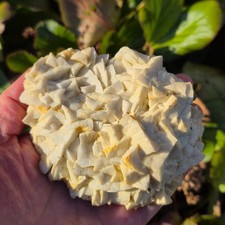 💎Video🌈Top Stufe mit