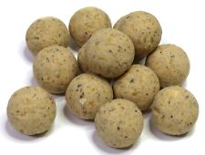 Boiles 16mm 300g Knoblauch Angeln Boilie mit Pheromone Zusatz