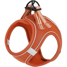 Hundegeschirr Kleine Hunde