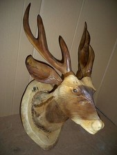 Hirschkopf Trophäe Geweih