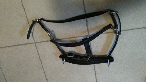 Halfter leder schwarz für - halfter,