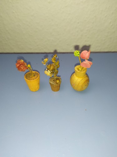 Alte pflanze um 1950 - pflanze,