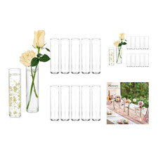 Glasvasen Set 12 Stück 15cm