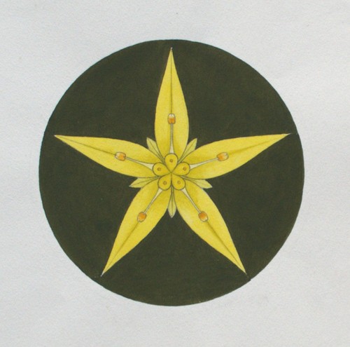 Fritz berger blüte aquarell - berger,