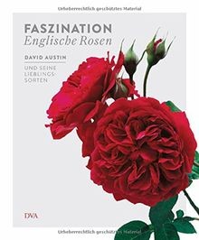 Faszination englische rosen - englische,
