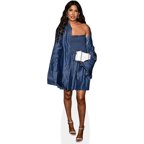 Parveen kaur - (blue, dress)