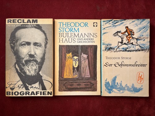 Theodor storm bulemanns haus - storm:,