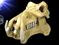 Aquarium Deko 🐠SCHÄDEL HÖHLE 🐠 Flusspferd Skelett Totenkopf Skull Zubehör