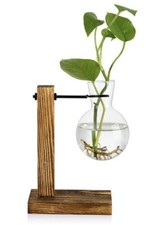 Vermehrungsstation Holzständer für Innenbereich mit 1 birnenförmigen Glasvasen Reagenzglas