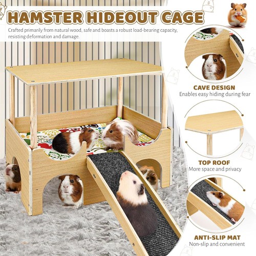 Hamster haus aus - hamster,