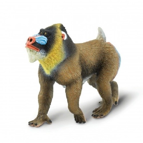 Safari ltd 100273 mandrill - mandrill, 9