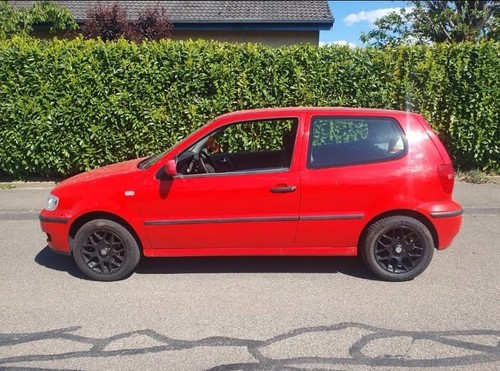 Polo 6n2 rot - polo, rot,