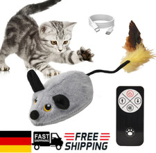 Elektrische Ferngesteuerte