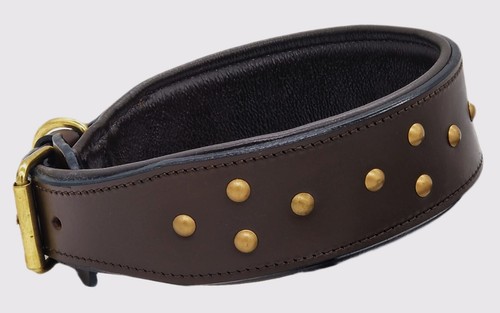 Hundehalsband rufus breit hohe - hundehalsband,