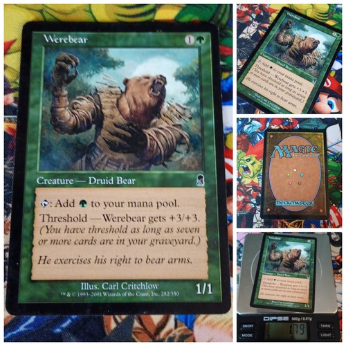 Mtg werebear nm - mtg,