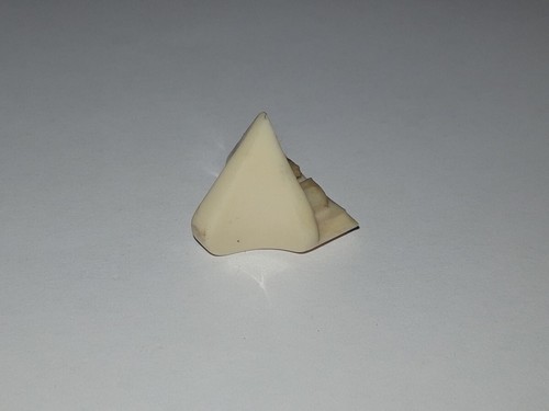 Reglerknopf f - reglerknopf, (f