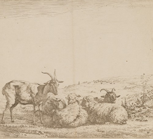 Dujardin zwei - dujardin, (1622-1678),