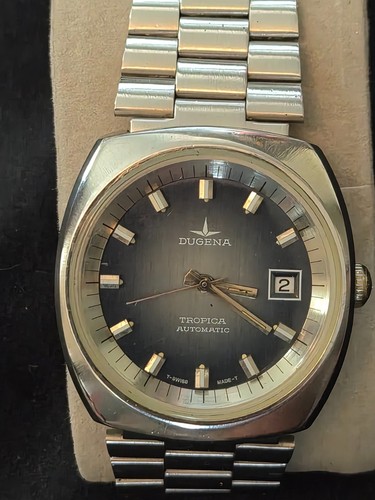 Dugena tropica - 🕰️,