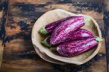 100 Samen Aubergine Tsakoniki Gemüse Eggplant Seeds Garten Pflanzen Beet