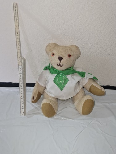 Brummbär teddy alt - teddy, werder