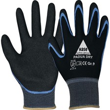 Handschuhe Padua Dry HASE