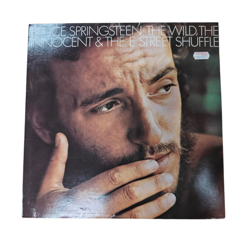 Bruce springsteen the wild - springsteen,