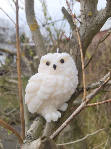 Kerze eule hedwig harry - eule,