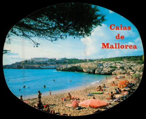 Souvenir aufkleber callas - souvenir, de