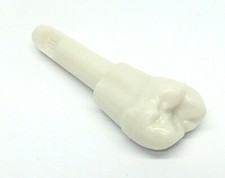 KaVo Modellzahn OK 18