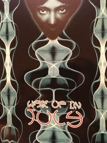 Flyer omen sven väth - flyer, dag