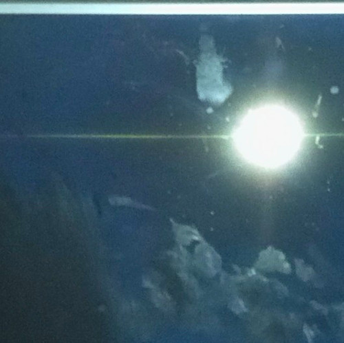 Philips 32pfs6905 led 720p - philips, tv