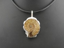 GJ69 AMMONIT FOSSIL FINISH 925