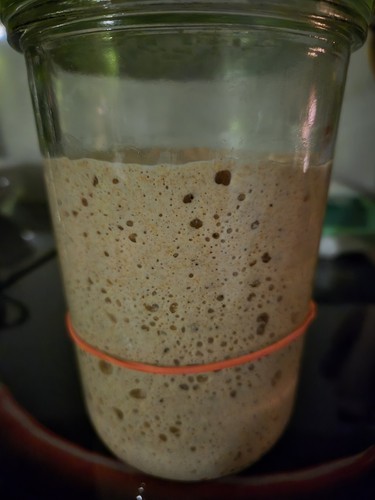 Sauerteig anstellgut roggen - sauerteig,