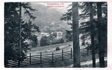 AK. Schwarzburg i. Th. - Durchblick vom Tiergarten