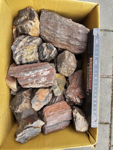 Kyffhäuser fossilien - kyffhäuser,