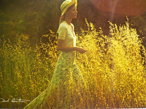 Postkarte david hamilton - postkarte,