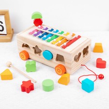 Montessori Holzspielzeug ,Lernfähiges Kinderspielzeug, Xylophon, Farben &Formen