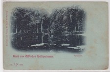 910420 Mondschein Ak Gruß uas