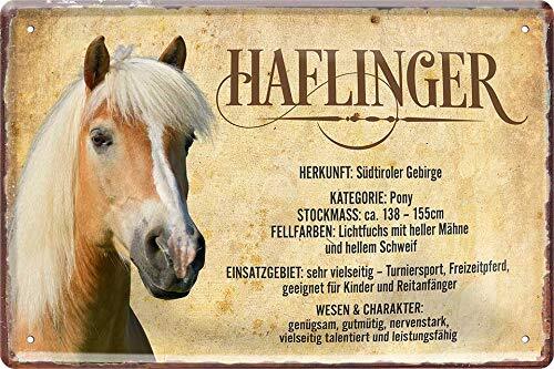 Blechschilder lustiger spruch - blechschilder,
