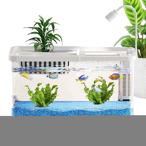 Mini fisch aquarium - mini-fisch-aquarium, –
