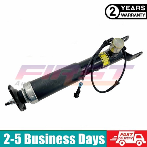 Rear right shock - rear,