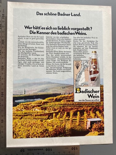 Badischer wein badner land - badner,